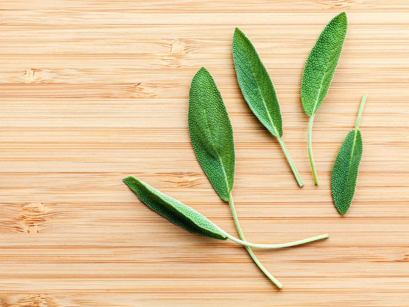 Sage leaves on wood photo