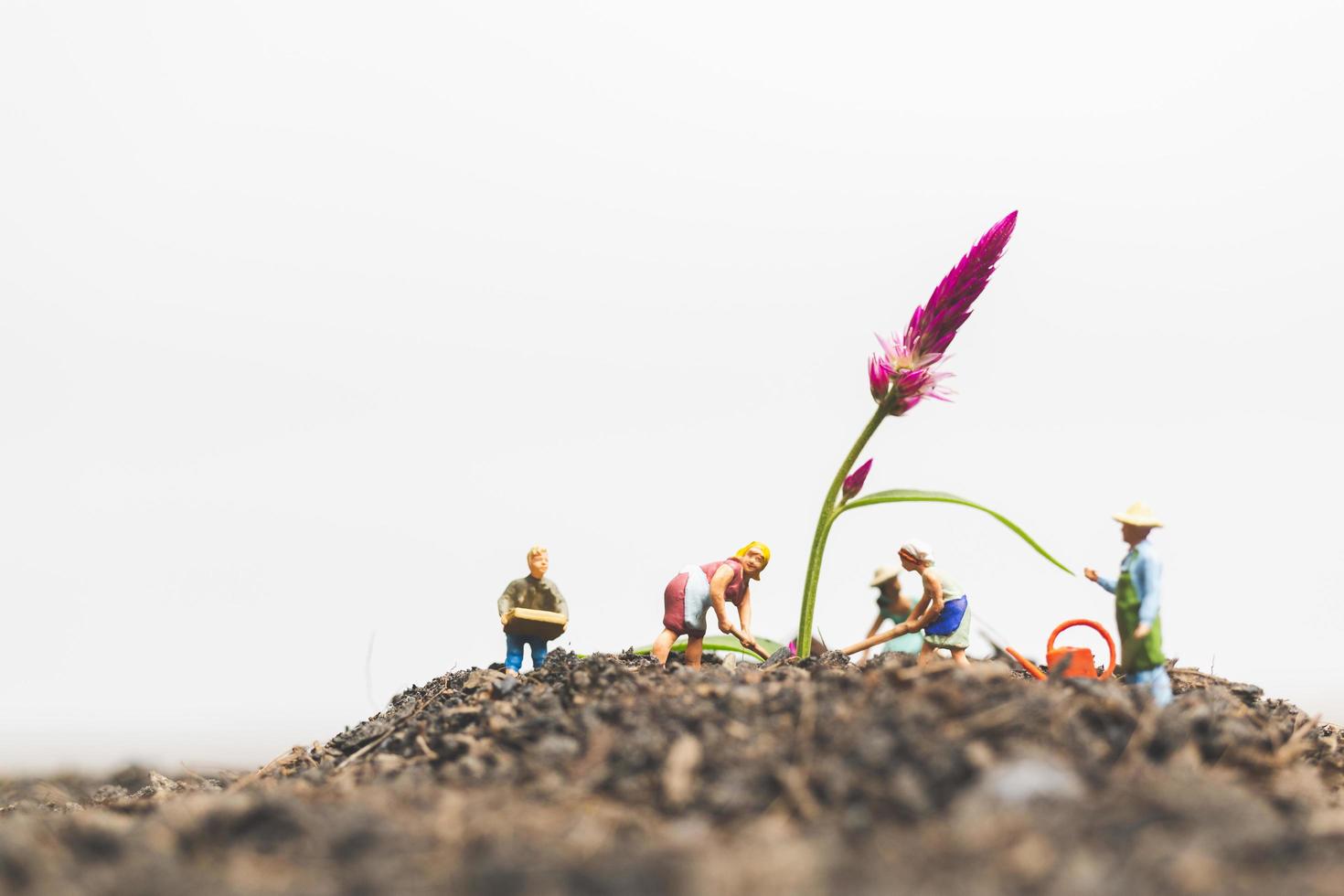 Jardineros en miniatura cuidando el cultivo de plantas en el campo, concepto de medio ambiente foto