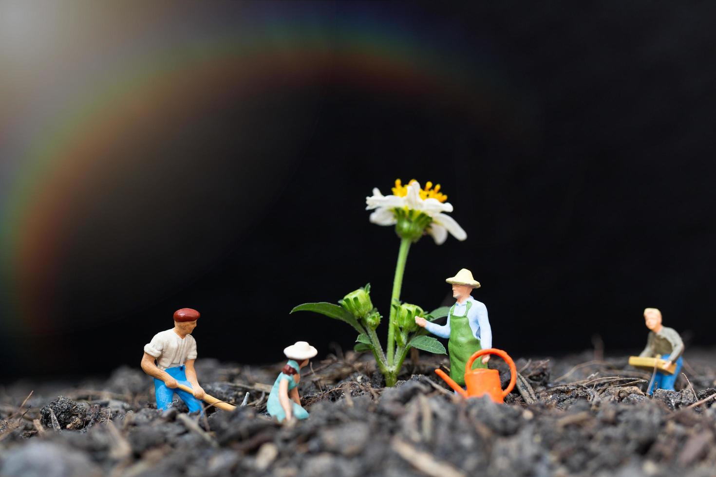 Miniature gardeners taking care of growing plants in the field, environment concept photo