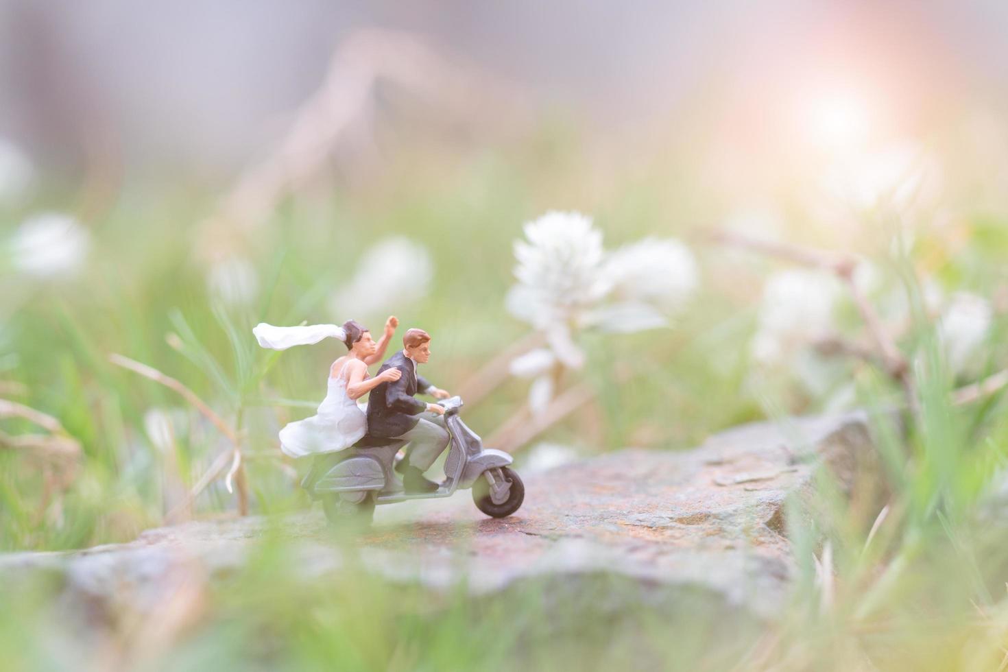 Pareja en miniatura en el jardín, concepto de día de San Valentín foto