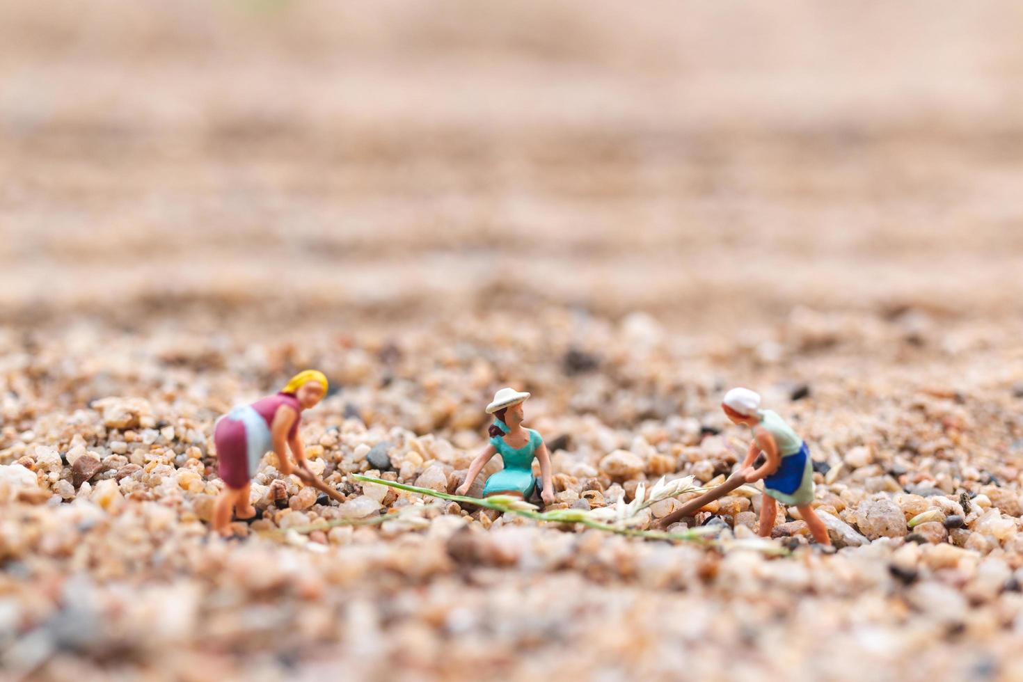 agricultores en miniatura que trabajan en una parcela en el desierto, concepto de agricultura foto