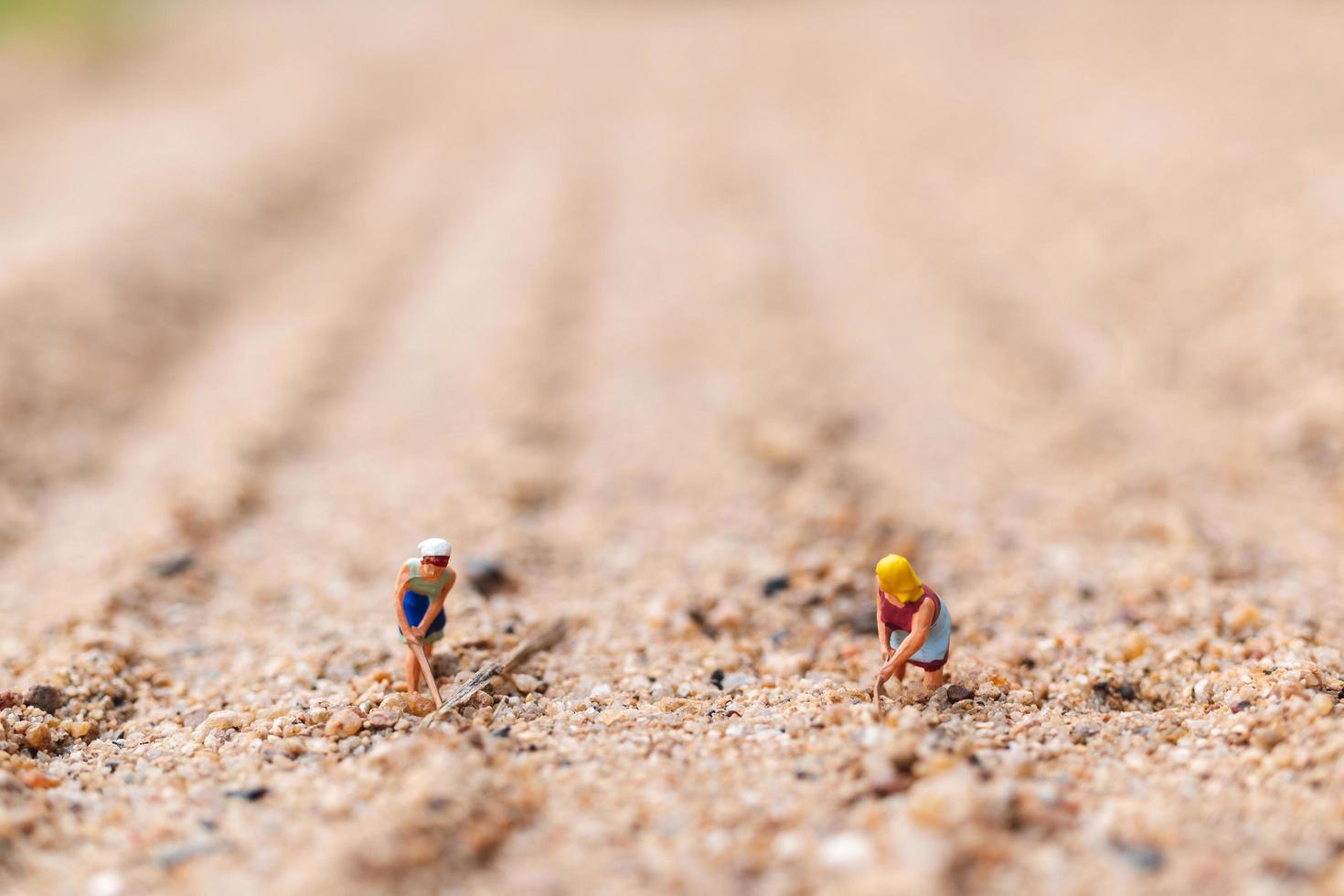 agricultores en miniatura que trabajan en una parcela en el desierto, concepto de agricultura foto