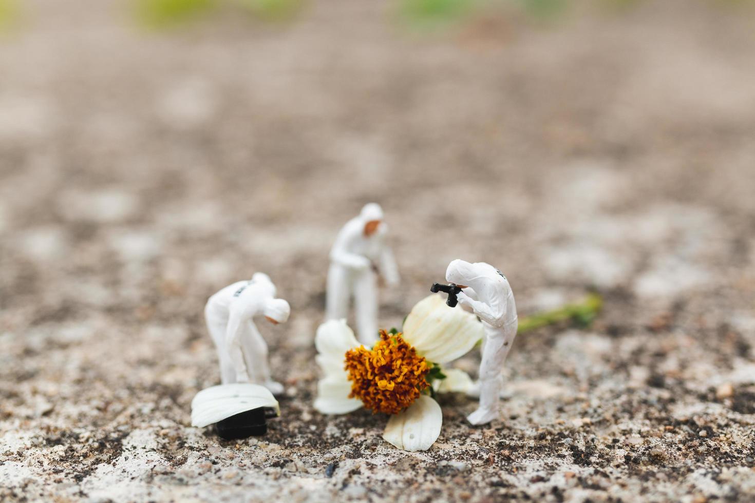 Policía y detective en miniatura encontrando pruebas de una flor en la escena del crimen foto