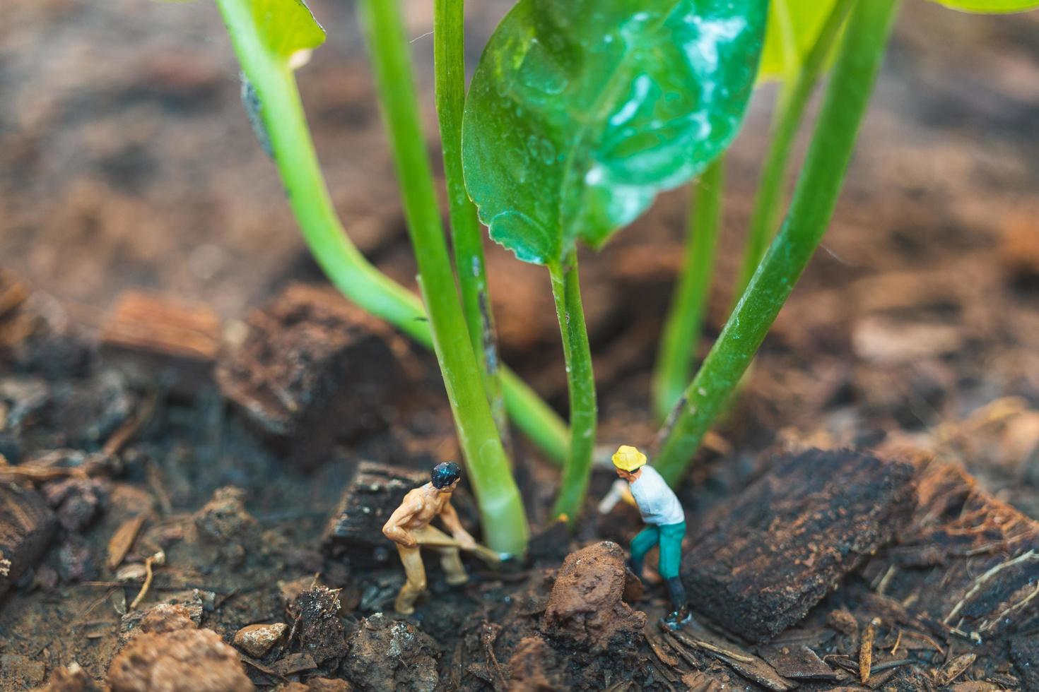 Trabajadores en miniatura que trabajan con un árbol, protegiendo el concepto de naturaleza foto