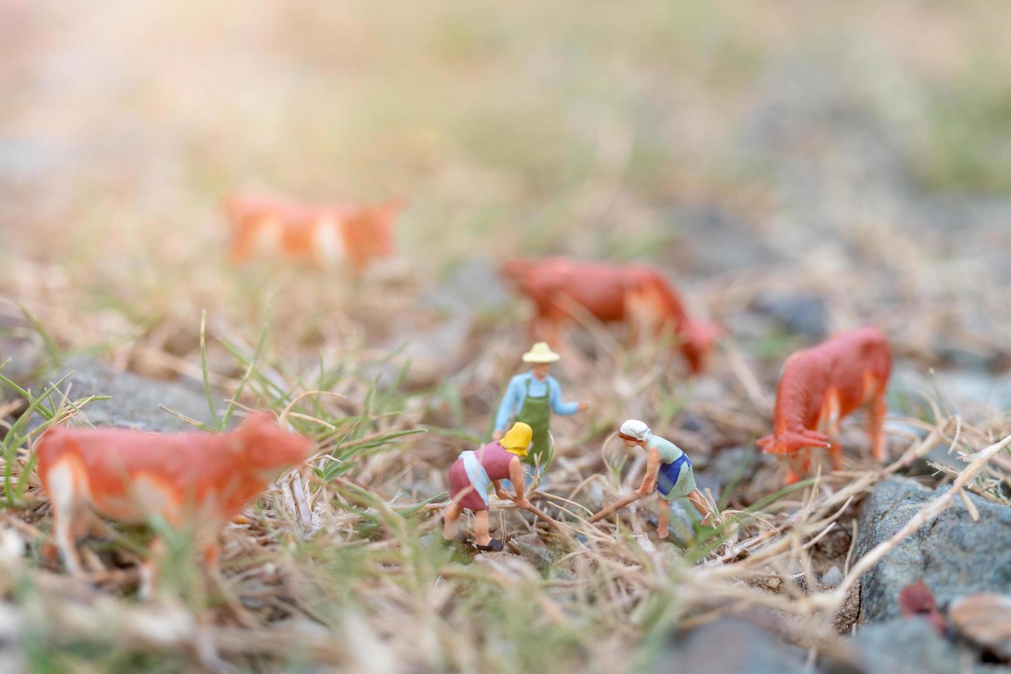 Jardineros en miniatura que trabajan en el campo, el agricultor y el concepto de jardinería foto