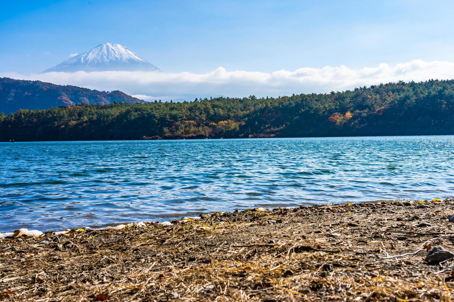 monte. fuji con en yamanashi, japón foto