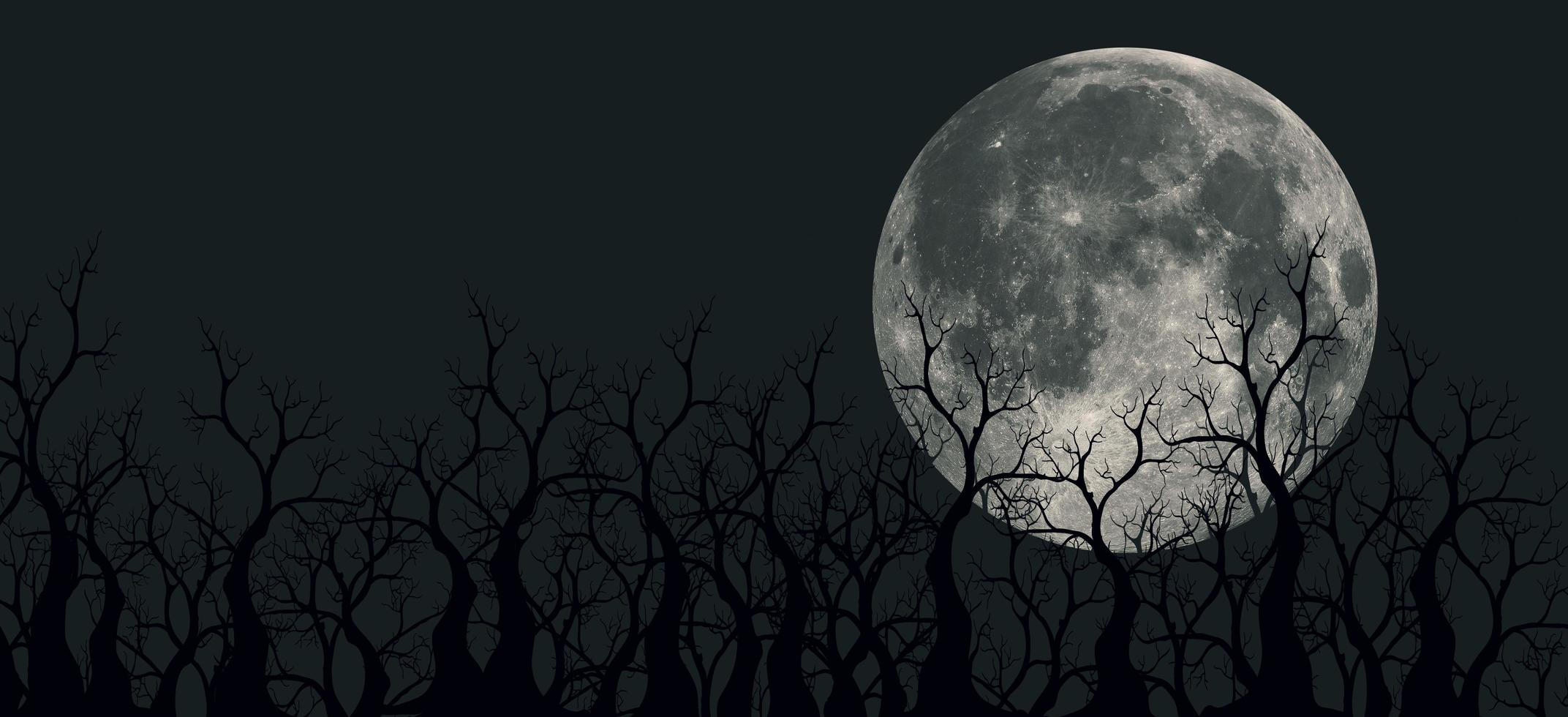 Spooky 3D illustration of panoramic mountains, trees and moon photo