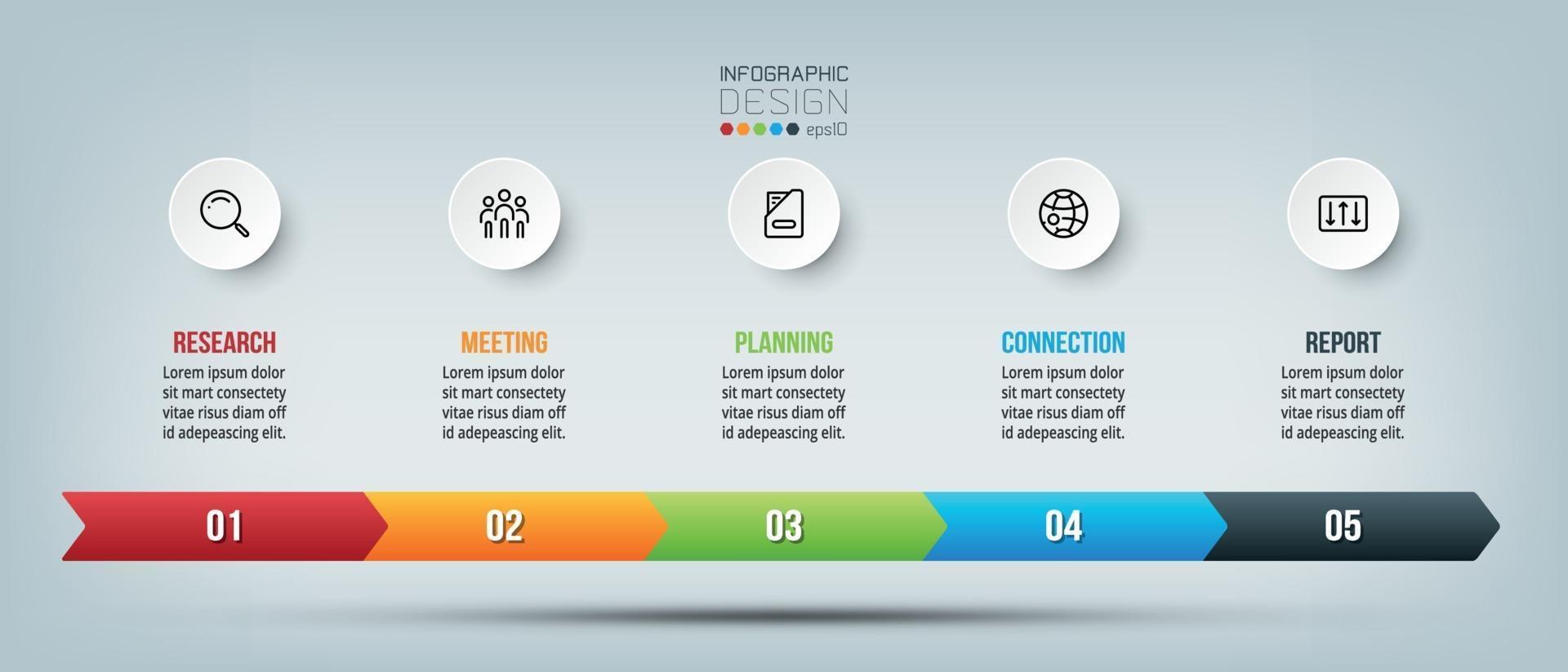 Business timeline infographic chart with step or option. vector