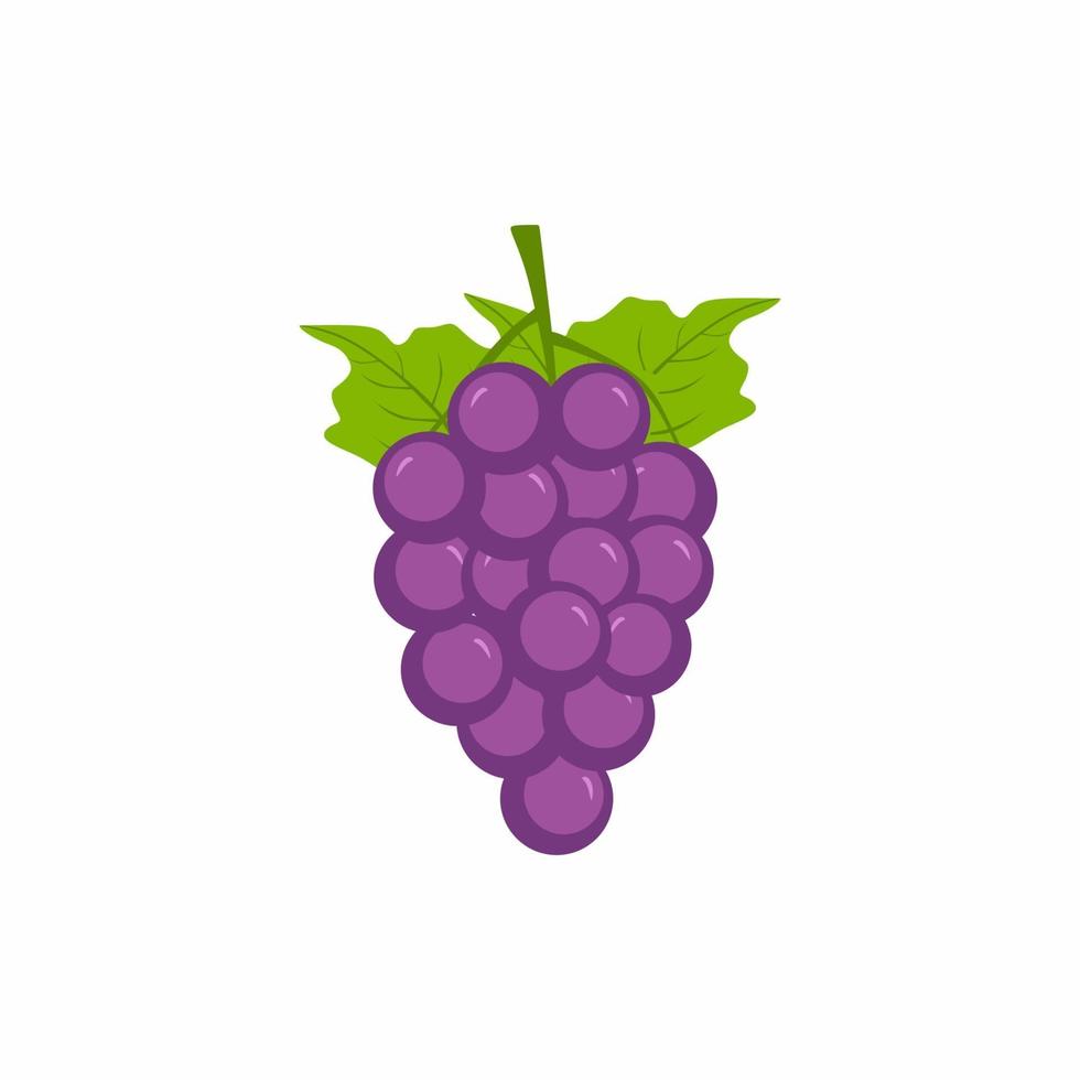 icono de uvas moradas. Racimo de uvas frescas de color púrpura con hojas verdes imagen aislada sobre fondo blanco. uva de viñedo. temporada de otoño de fruta fresca. vino de uva. colección de pintura de colores de frutas vector
