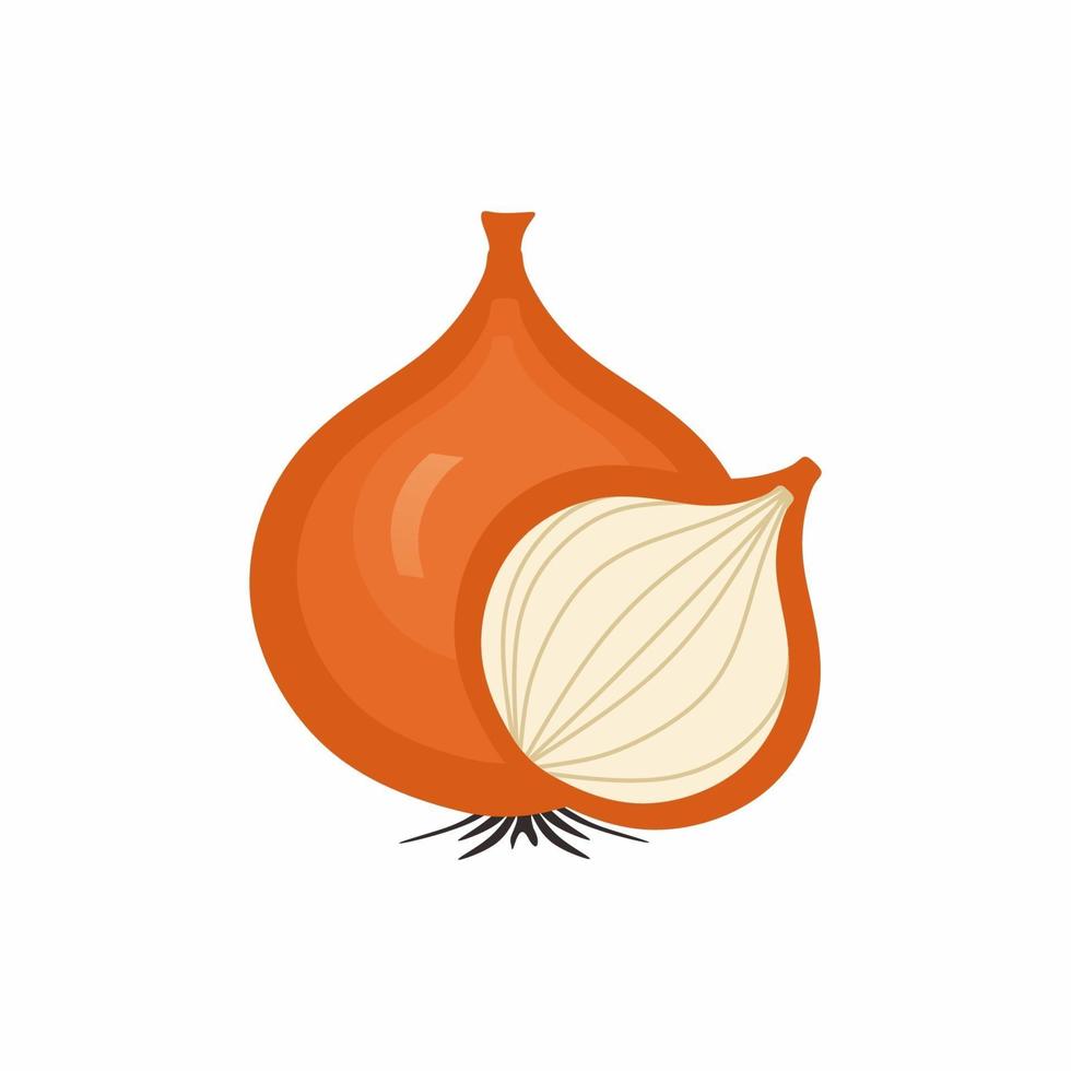 vector cebolla vegetal. verdura del huerto. dibujos animados de cebollas marrones o amarillas. alimentos orgánicos, concepto vector cebolla vegetal. verdura del huerto. dibujos animados de cebollas marrones o amarillas. alimentos orgánicos, concepto