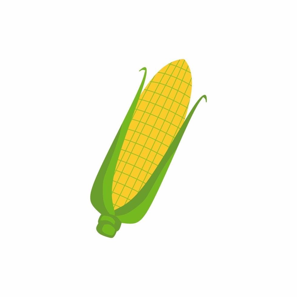 Corn cob in a green husk. Sweet golden corn isolated on white background. Healthy vegetable. Freshly picked plant flat vector design illustration