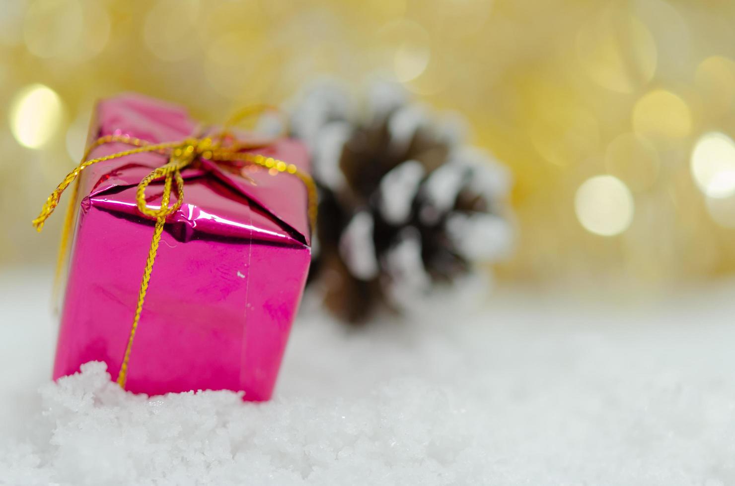 Present and pinecone photo