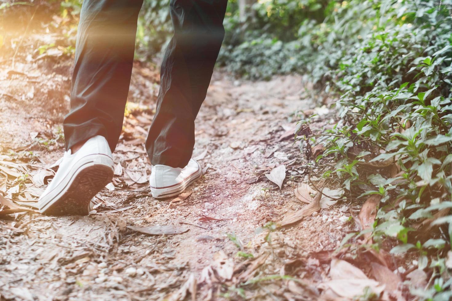 Man walking into the woods with sunlight photo