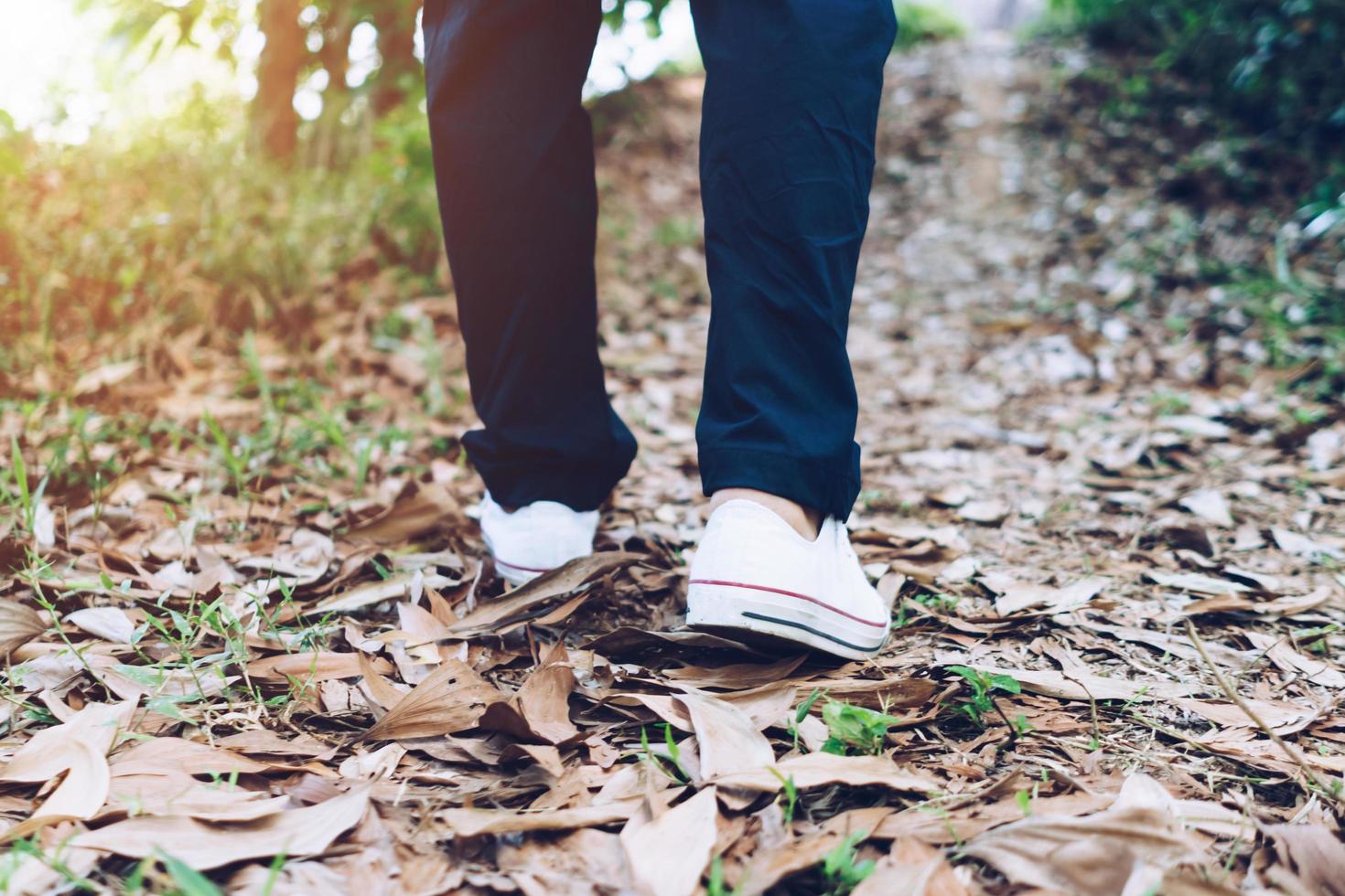 Man walking into the woods with sunlight photo