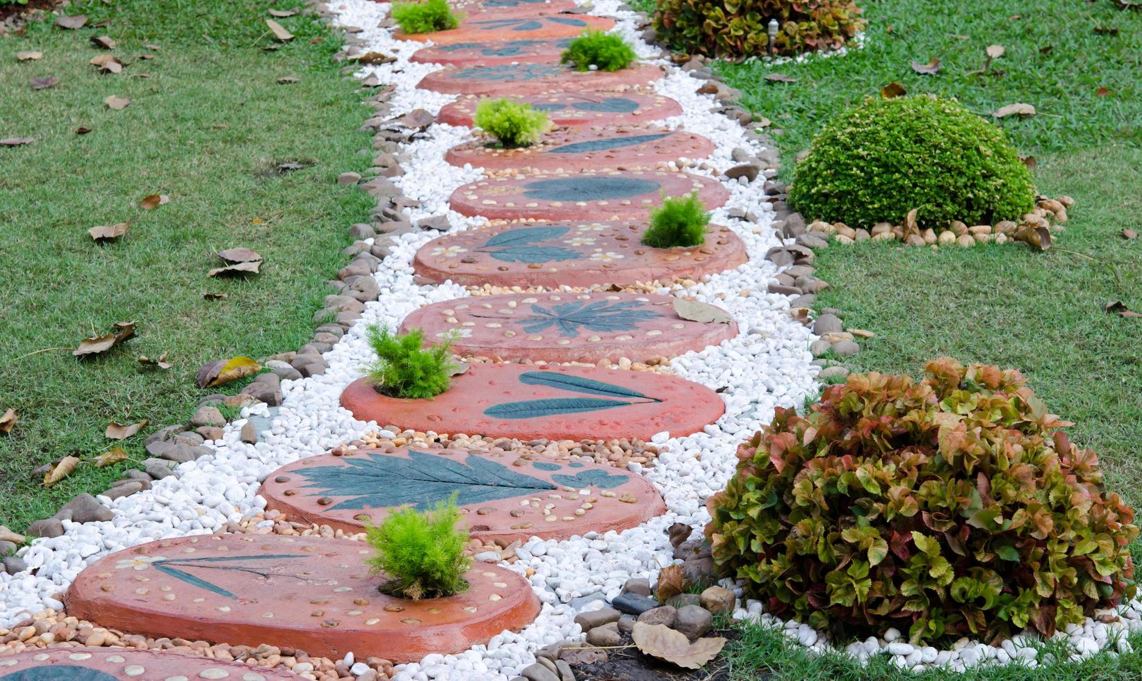 camino en un jardín foto