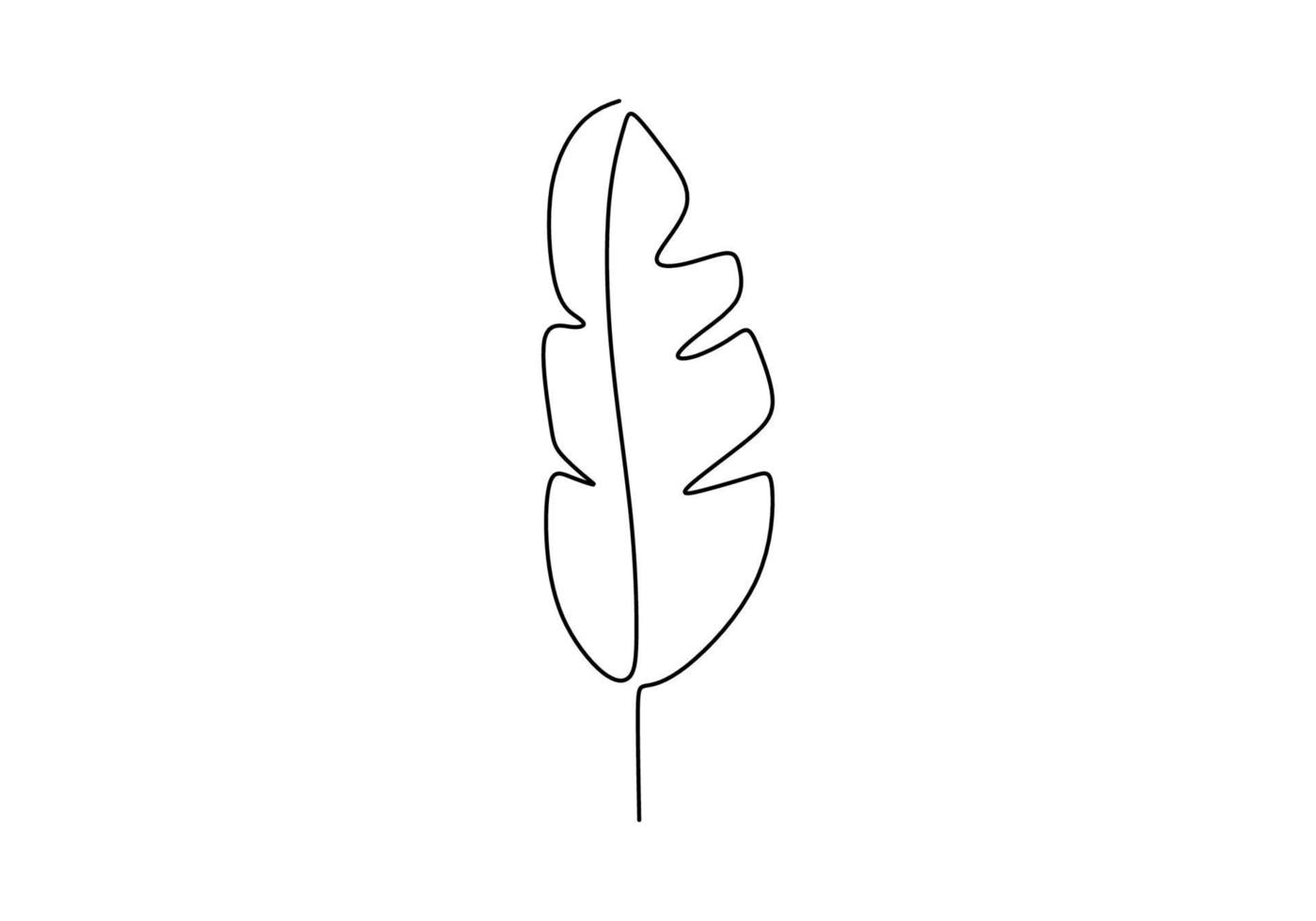 dibujo de una línea de hoja de plátano. ilustraciones botánicas aisladas sobre fondo blanco. estampado de moda tropical en un estilo minimalista para decoración de interiores, creando un logo o estampado en la ropa. vector