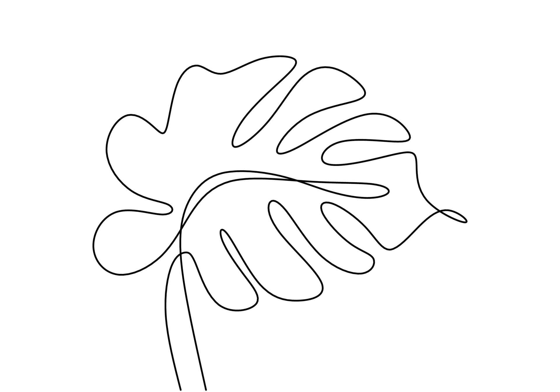 Abstract One Line Drawing Of A Tropical Leaf Minimal Art Plant Isolated On  A White Background