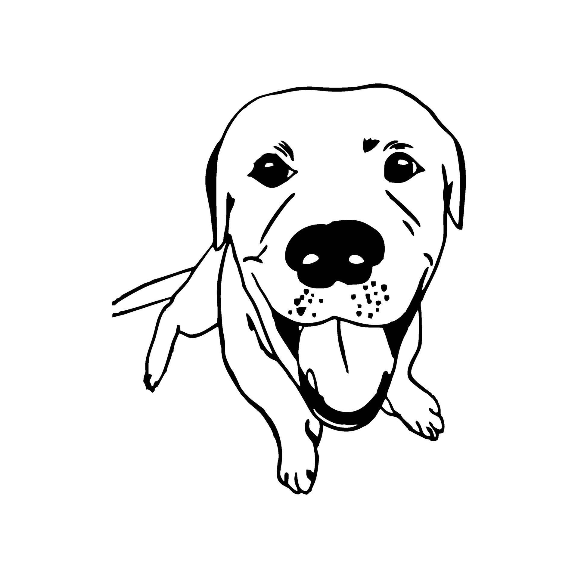 Abstract Dog Line art vector template 2101592 Vector Art at Vecteezy