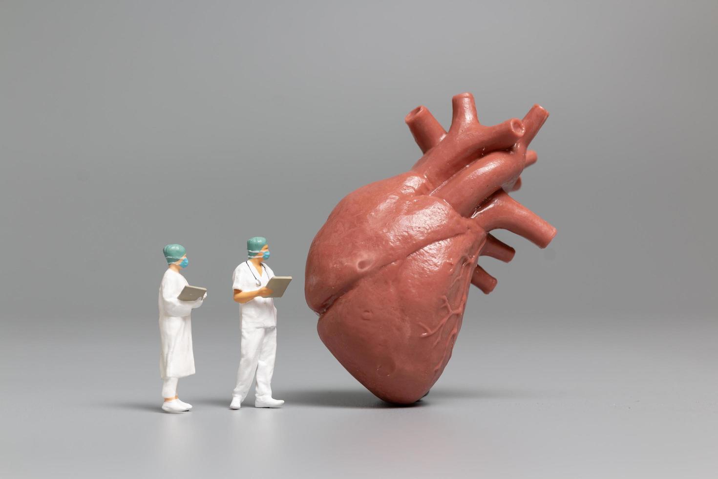 Médico y enfermera en miniatura observando y discutiendo el corazón humano, la ciencia y el concepto médico foto