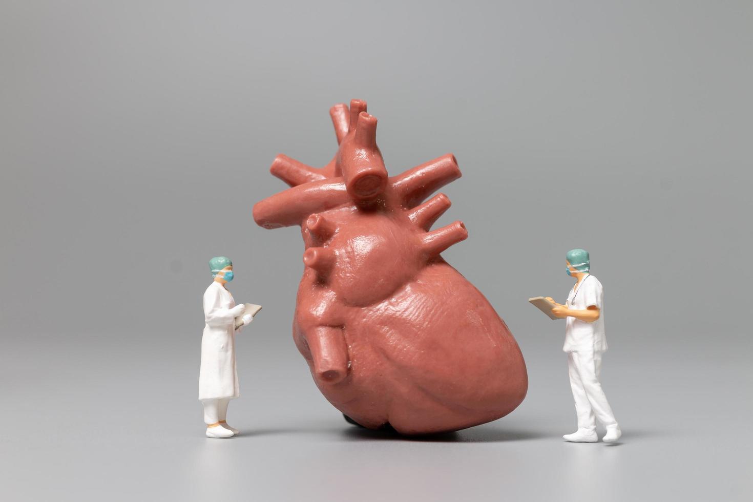 Médico y enfermera en miniatura observando y discutiendo el corazón humano, la ciencia y el concepto médico foto