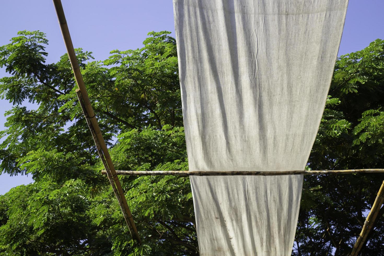 cortinas al aire libre cerca de los árboles. foto