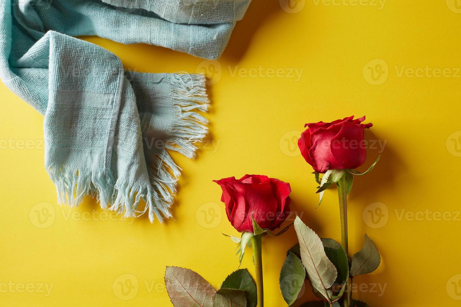 rosas sobre un fondo amarillo foto