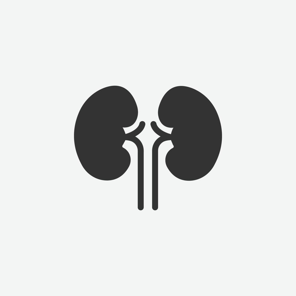 Kidney, organ isolated icon for graphic and website design vector