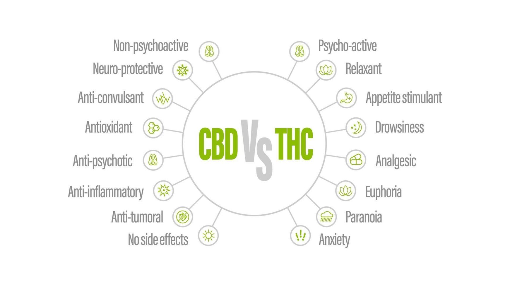 cartel blanco con comparación cbd y thc. cbd vs thc, lista de diferencias con iconos vector