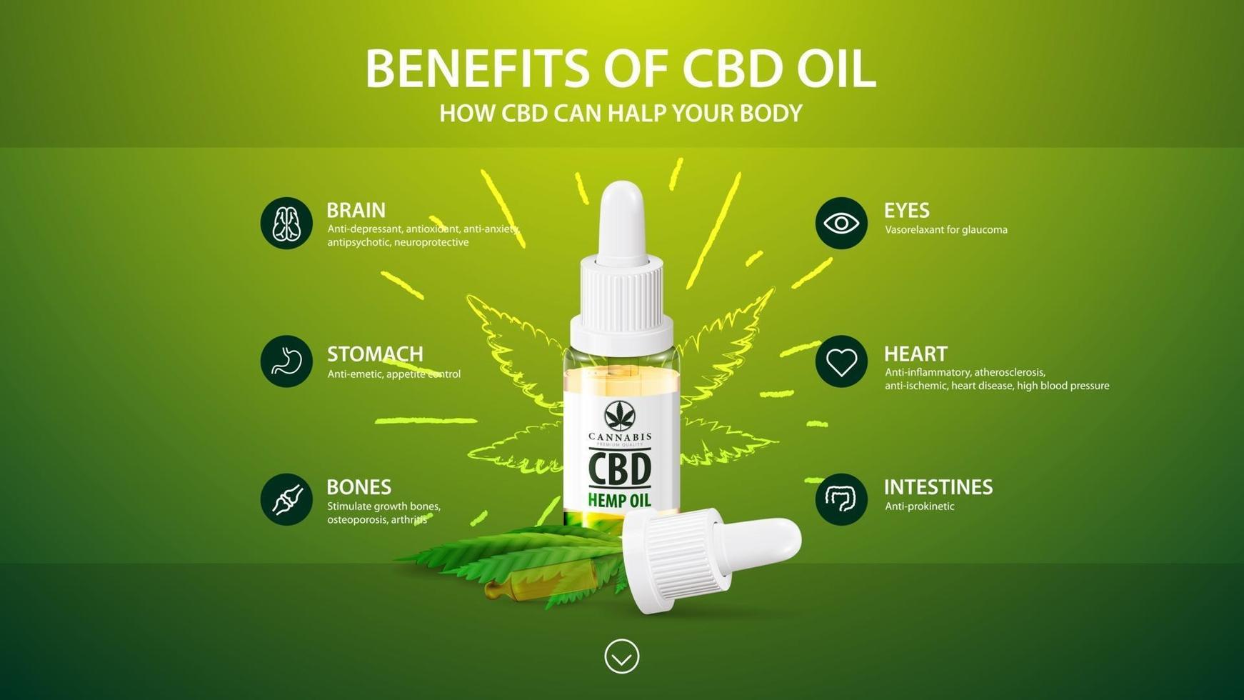 plantilla verde con botella blanca de aceite de cbd medicinal, plantilla verde con infográfico de los beneficios para la salud del cbd del cannabis, cáñamo, marihuana vector
