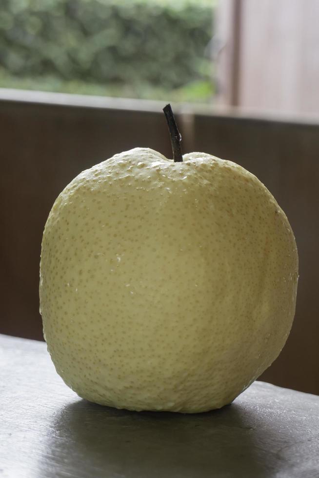 Single fresh asian whole pear photo