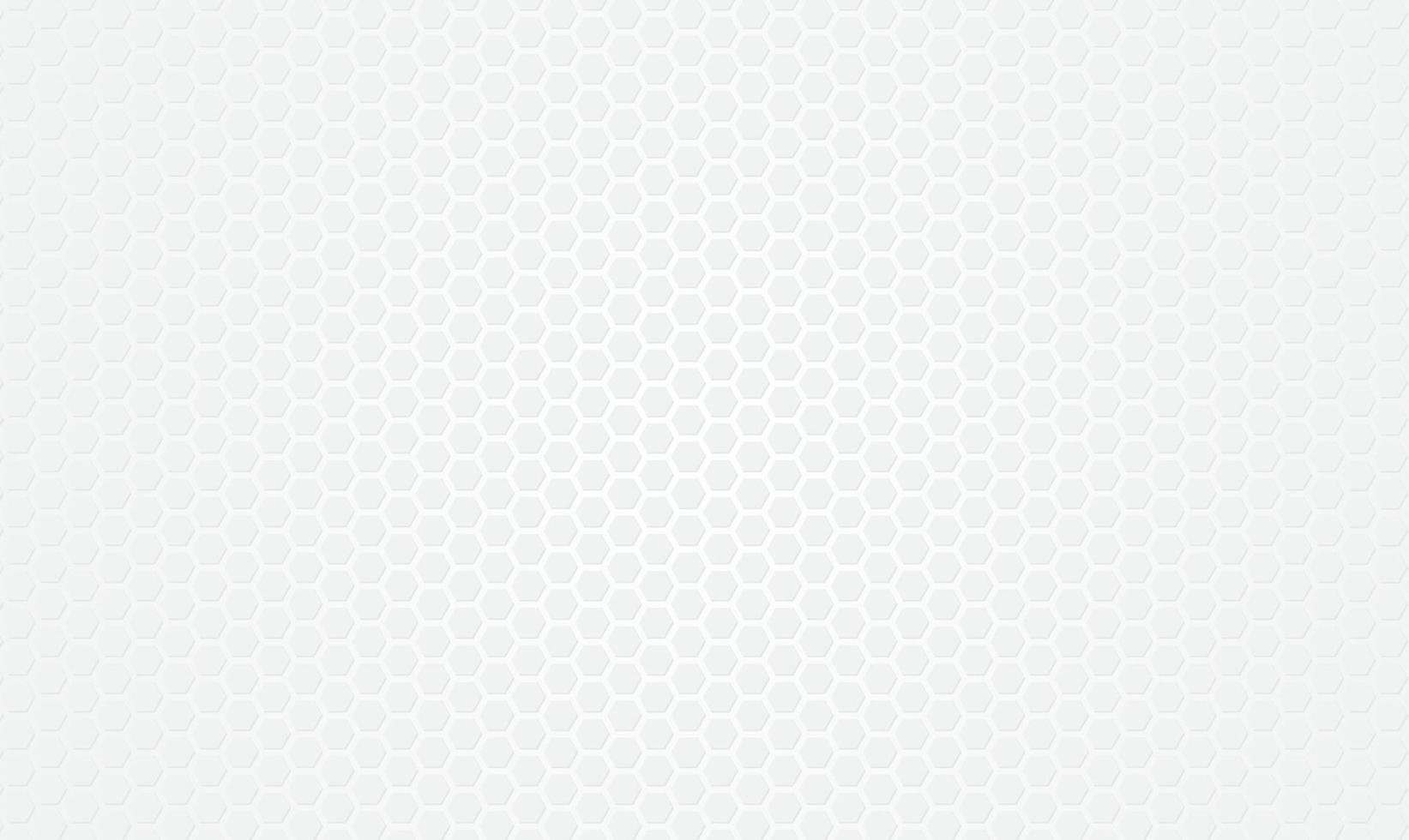 Abstract white gray Steel cage texture background vector
