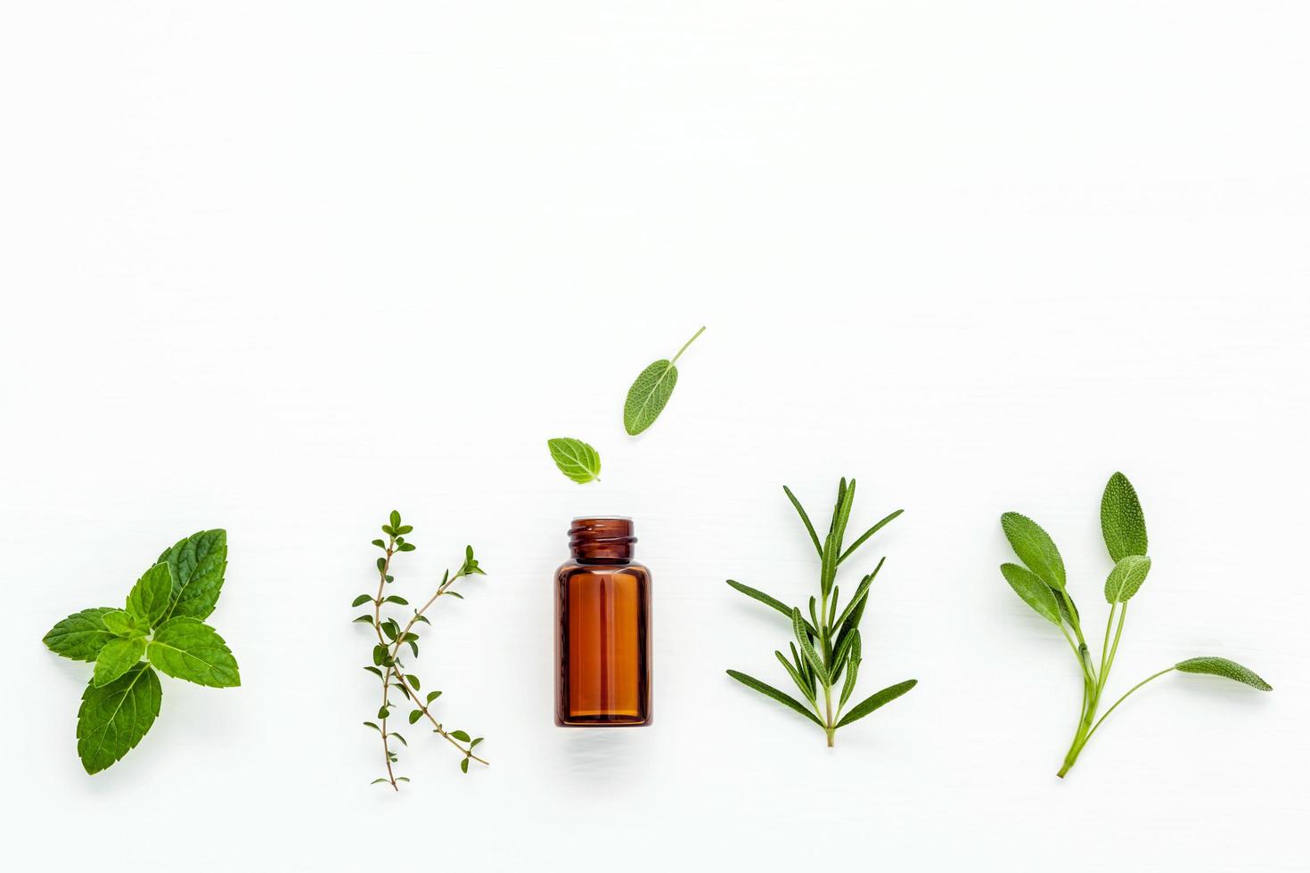 Essential oil and fresh herbs photo