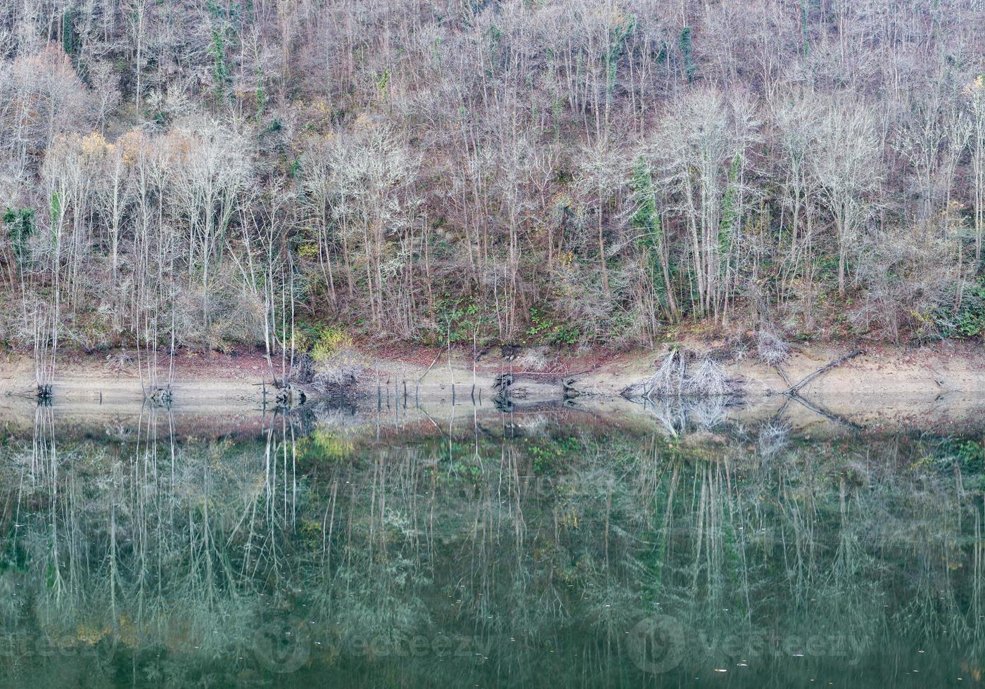 bosque en invierno reflejado en el río foto