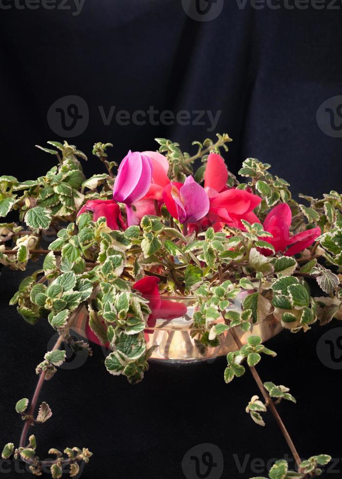 Pink and green floral arrangement with a dark background photo