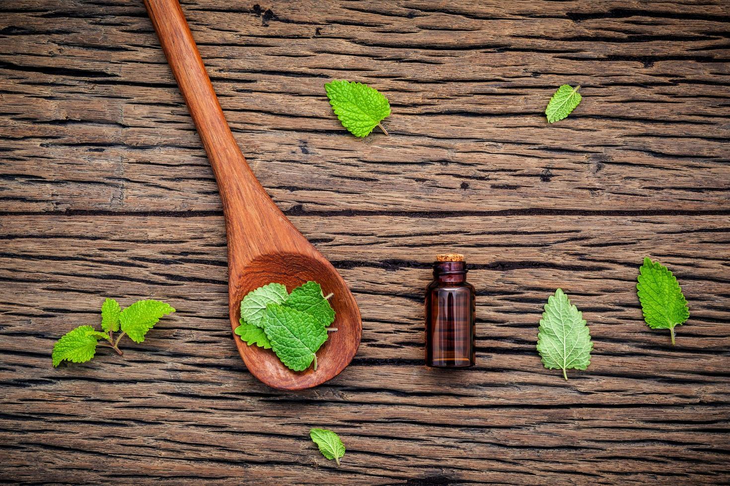 Lemon balm essential oil photo