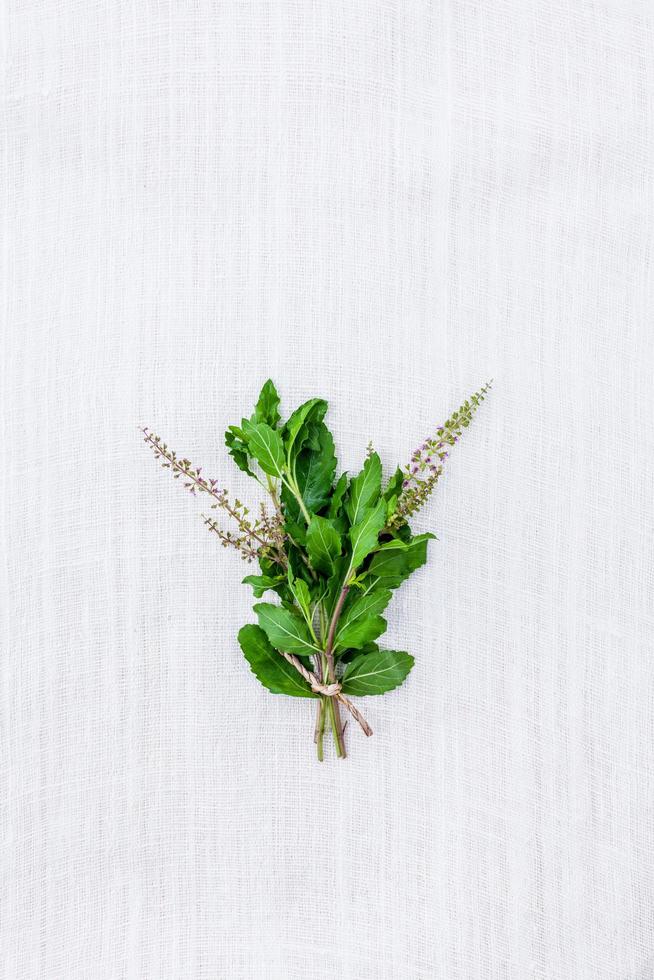 Fresh herbs on white wood photo