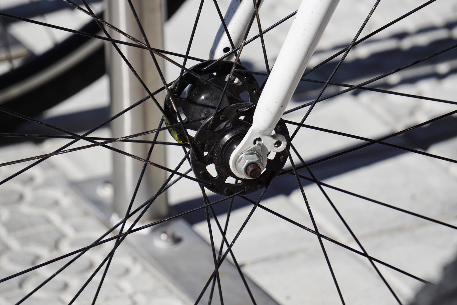 Close up of bicycle spoke wheels photo