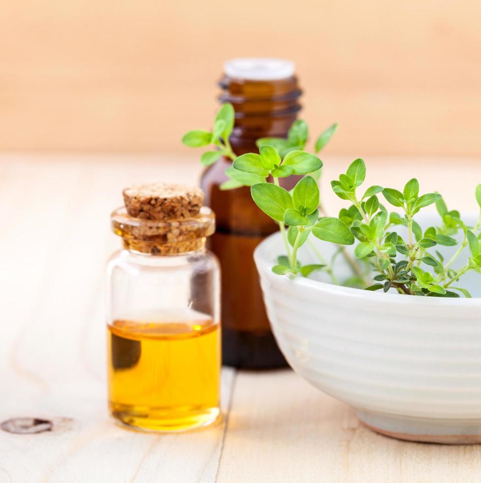 Lemon thyme essential oil 2105307 Stock Photo at Vecteezy