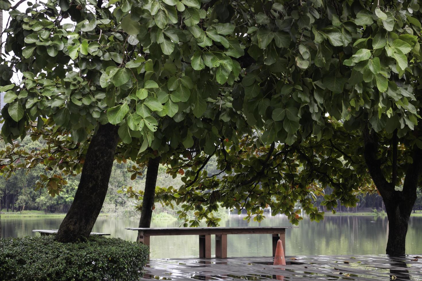 A bench near a lake photo
