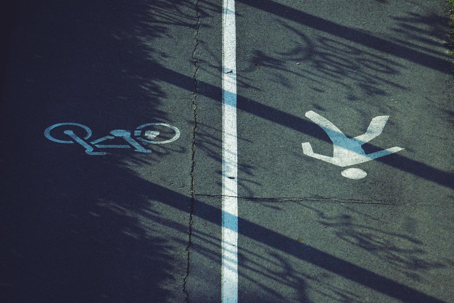 Bicycle and pedestrian road sign on the road photo