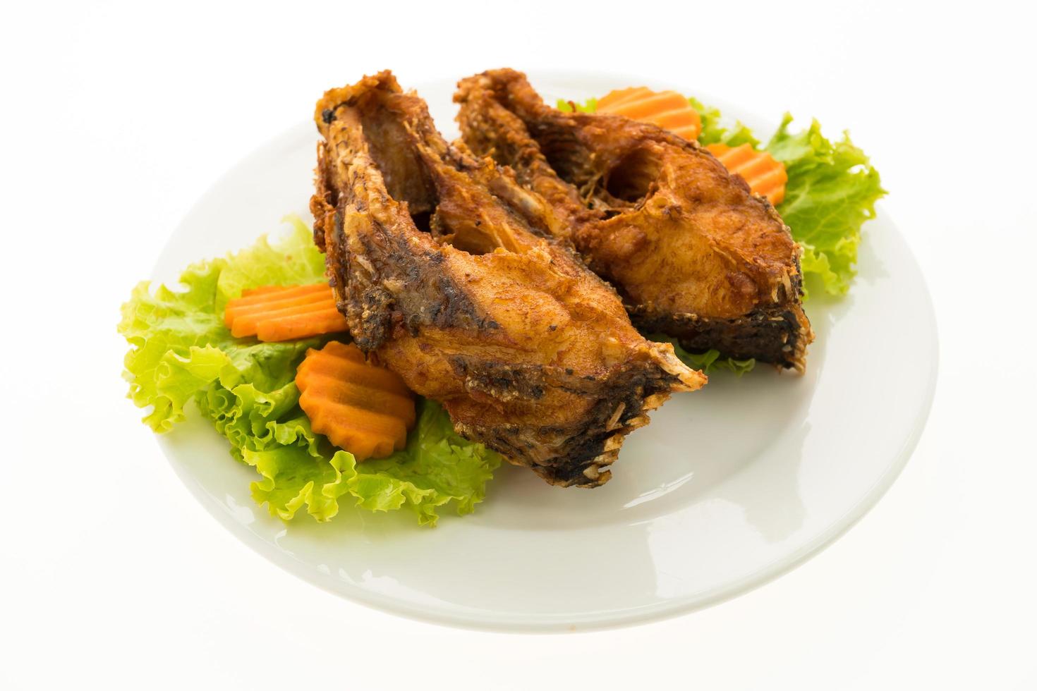 Fried fish on white plate photo