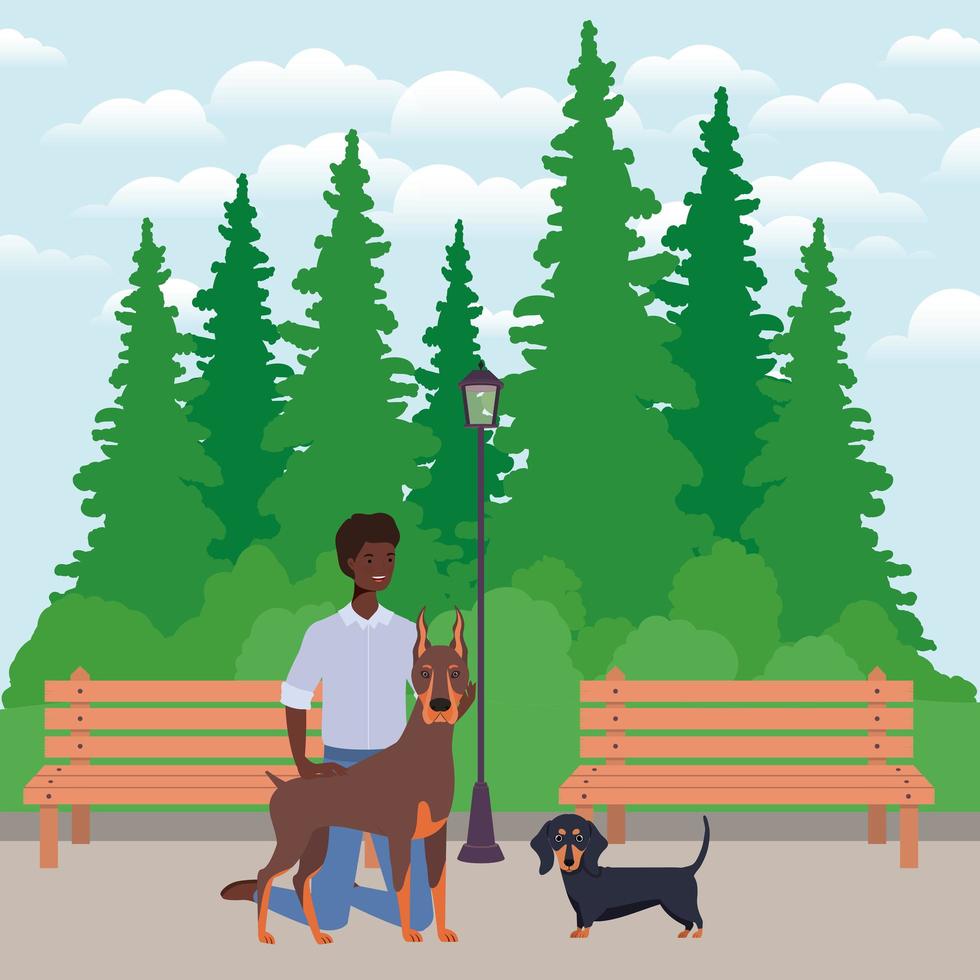 young afro man with cute dogs mascots in the park vector