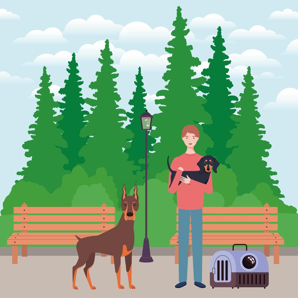 young man with cute dogs mascots in the park vector