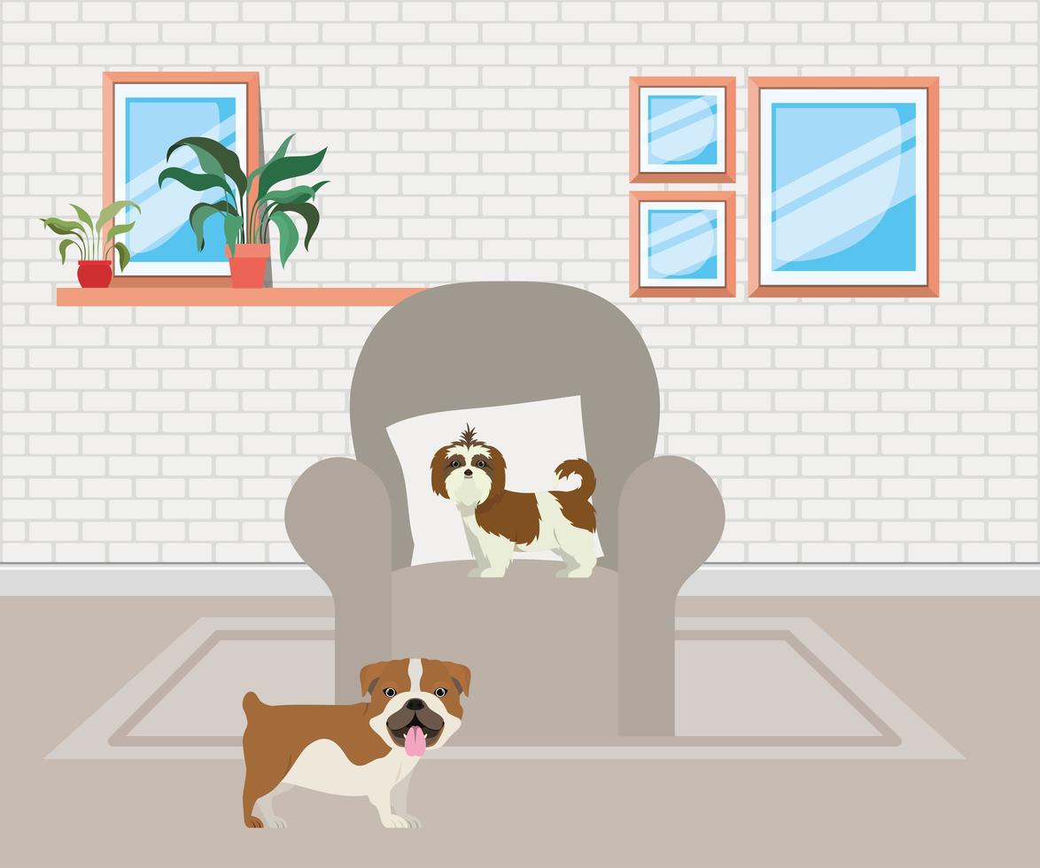 cute little dogs in the livingroom vector