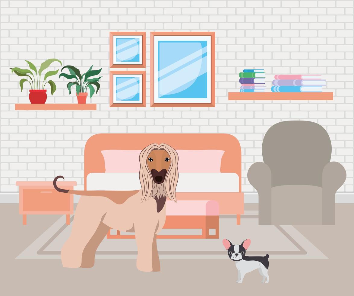 cute little dogs in the bedroom vector