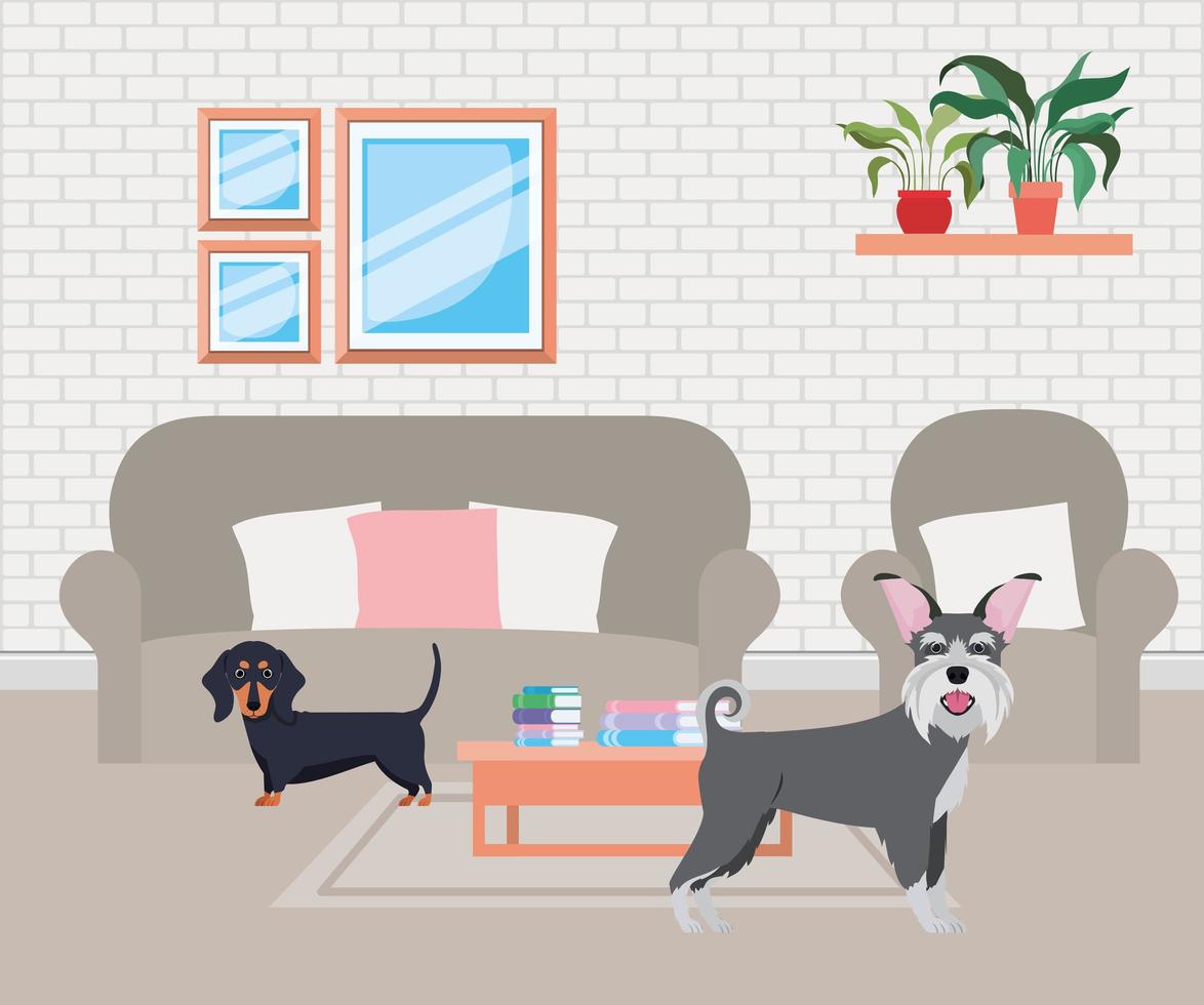 cute little dogs in the livingroom vector