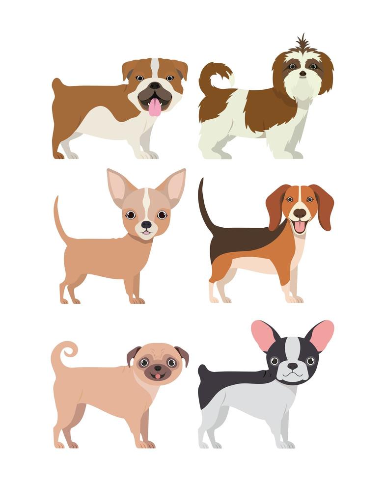 bundle of dog breeds group vector