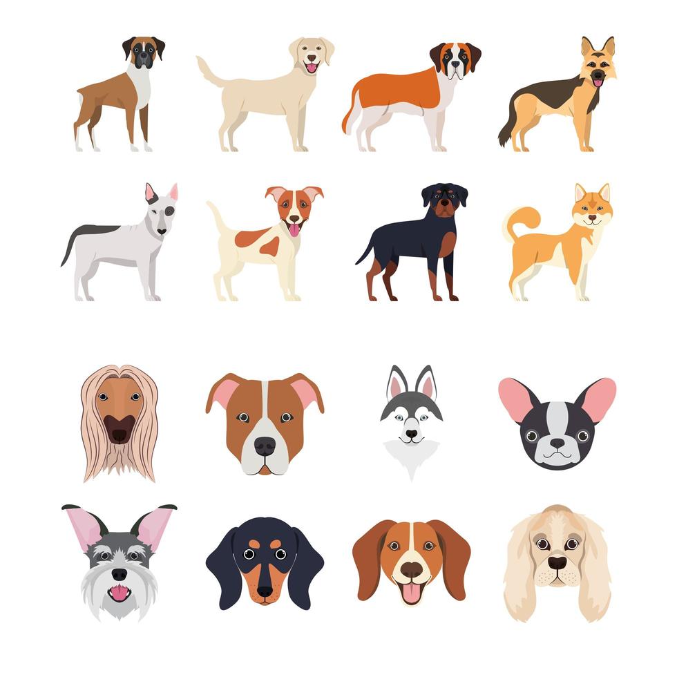 bundle of dog breeds group vector