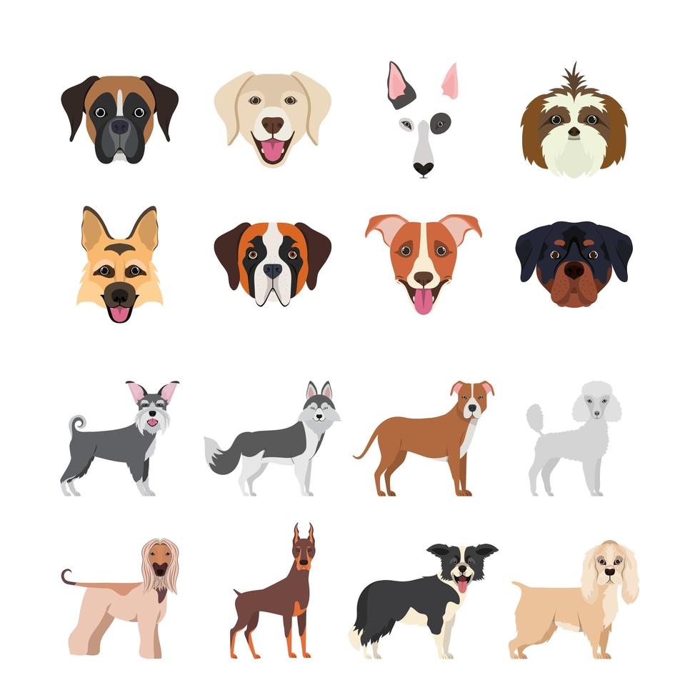 bundle of dog breeds group vector