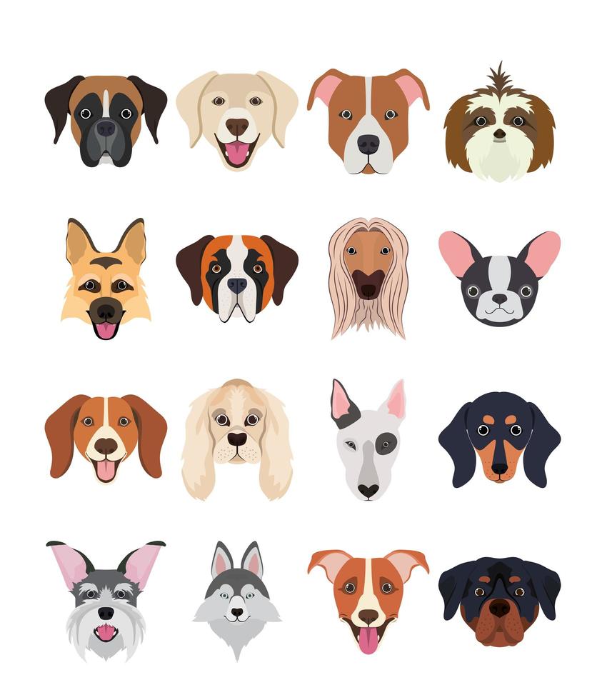 bundle of dog breeds group vector